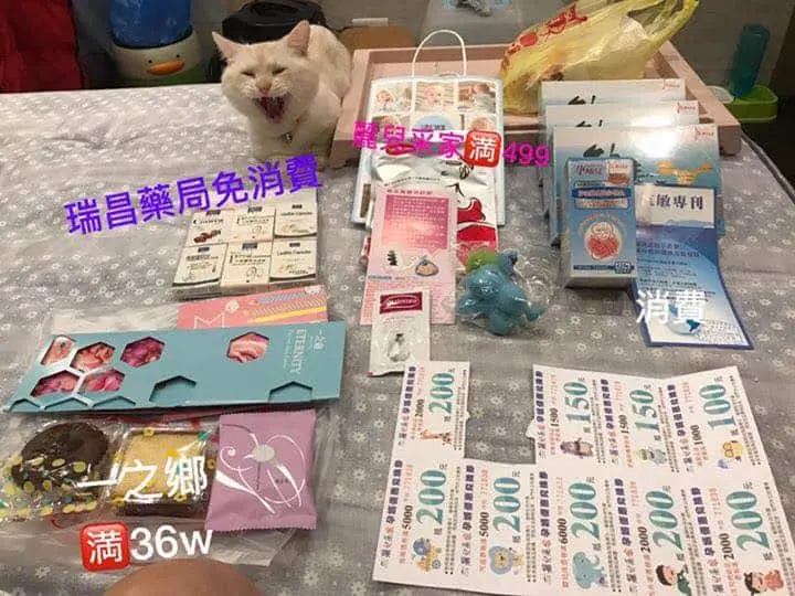 超級完整的媽咪日記 - ?超級完整的媽咪日記? 小編們一致推薦,想把心得寫成日記給寶 - 圖 22