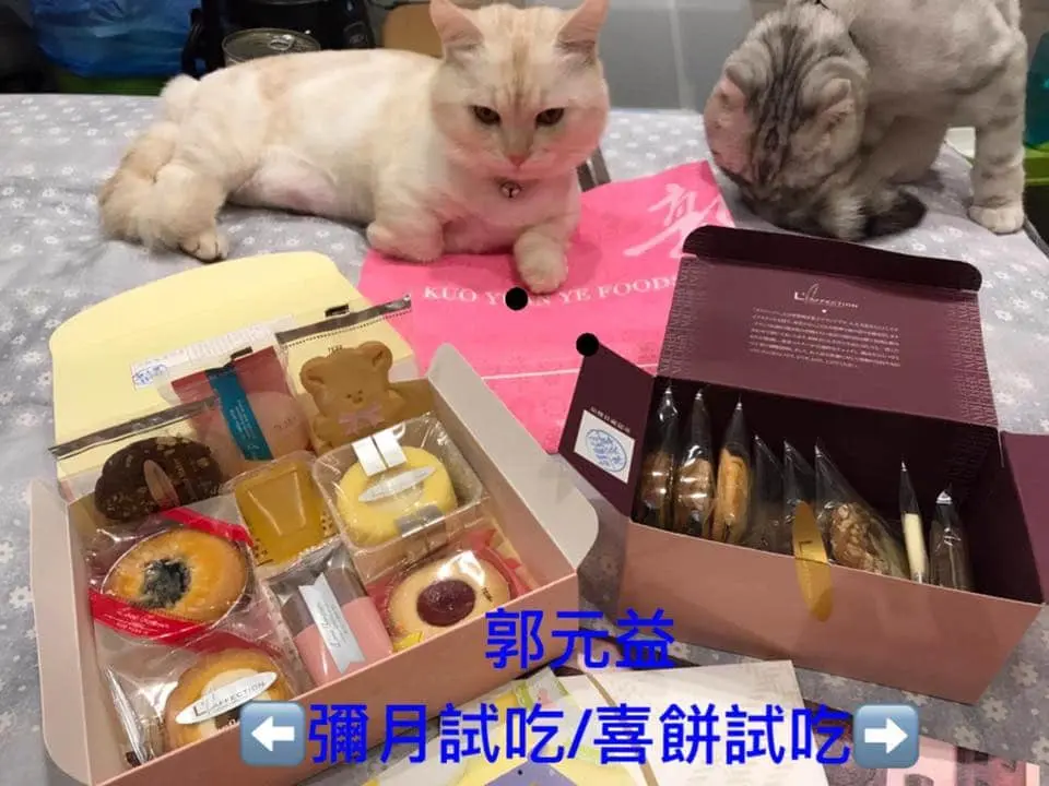超級完整的媽咪日記 - ?超級完整的媽咪日記? 小編們一致推薦,想把心得寫成日記給寶 - 圖 29