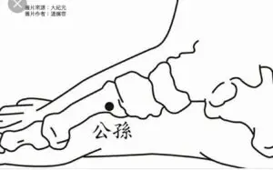 公孫
