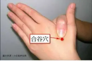 合谷穴