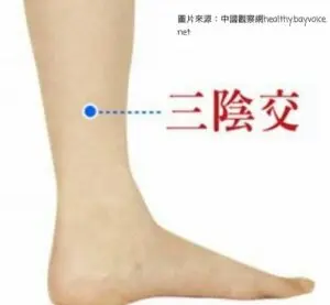 三陰交