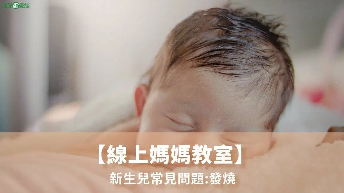 新生兒常見問題 發燒