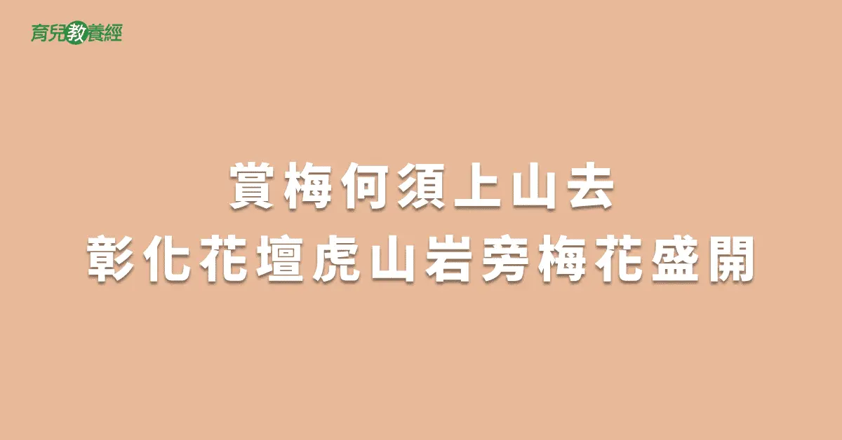 賞梅何須上山去彰化花壇虎山岩旁梅花盛開
