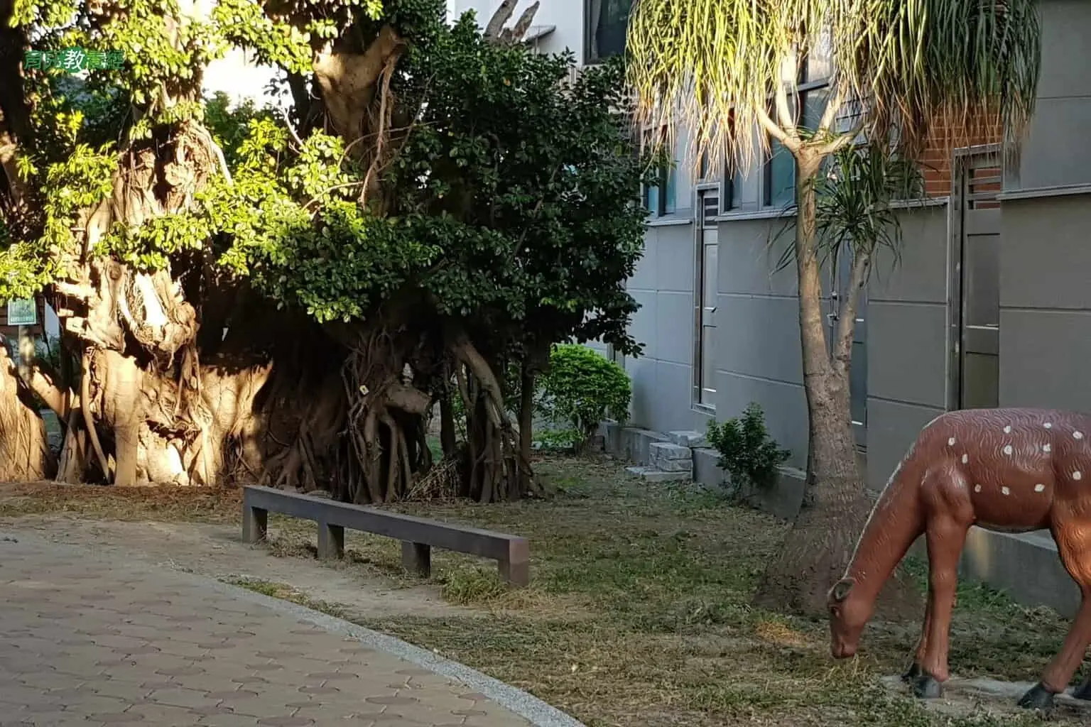 鹿港小鹿兒童公園獨木橋