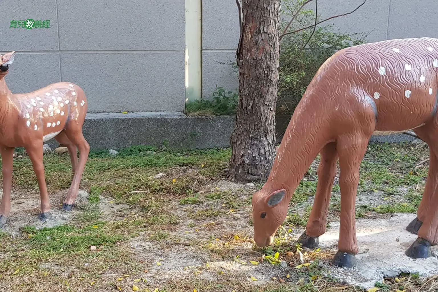 鹿港小鹿兒童公園011