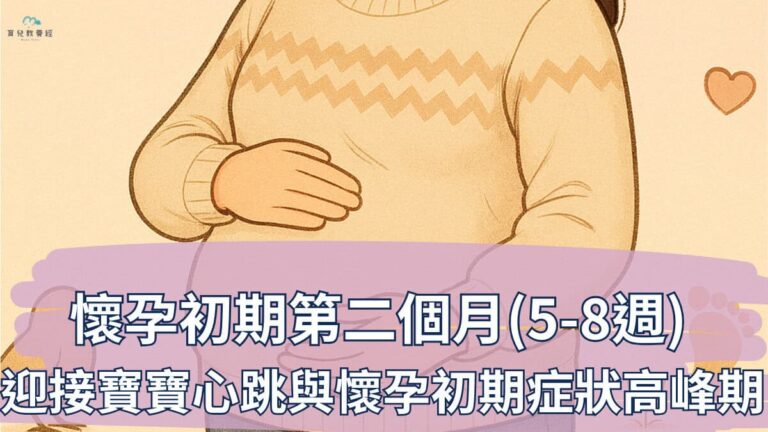懷孕初期第二個月(5-8週)