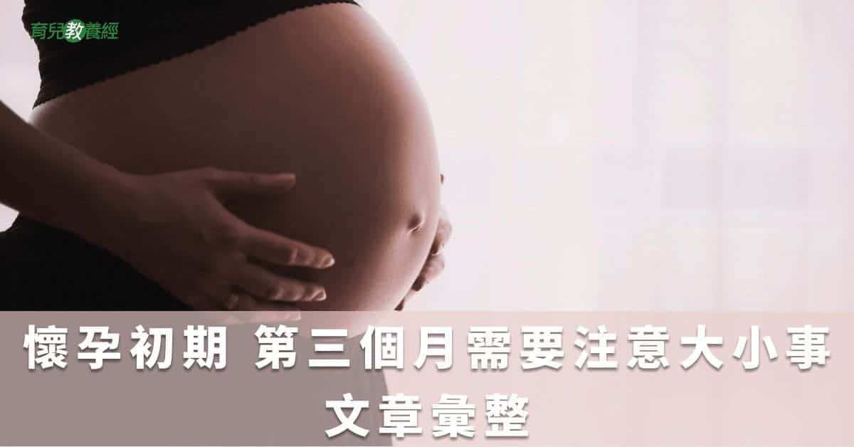 懷孕初期 第三個月需要注意大小事文章彙整