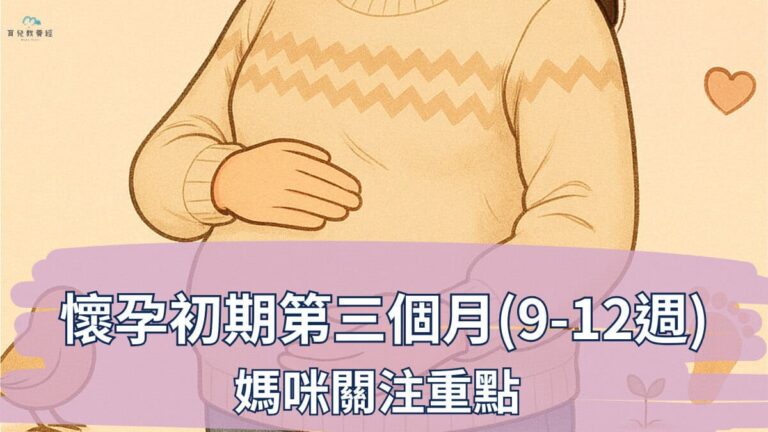 懷孕初期第三個月(9-12週)