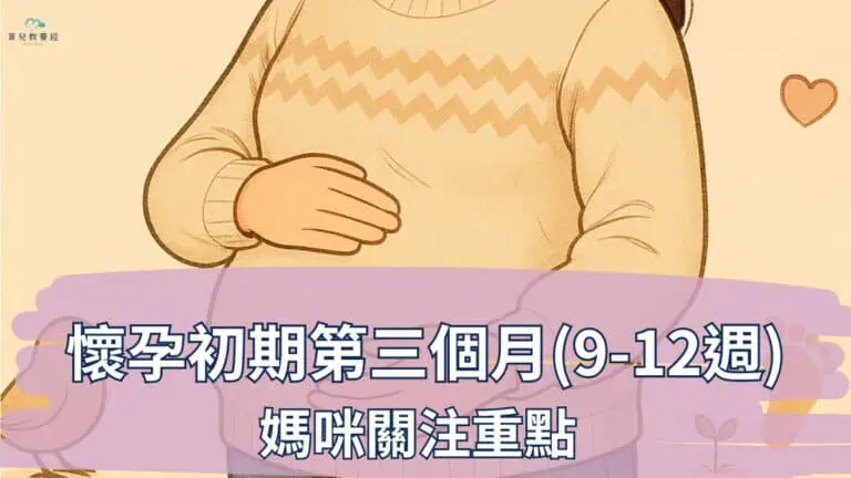 懷孕初期第三個月(9-12週)