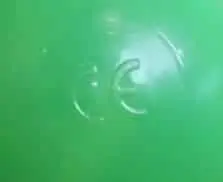 海洋球安全認證