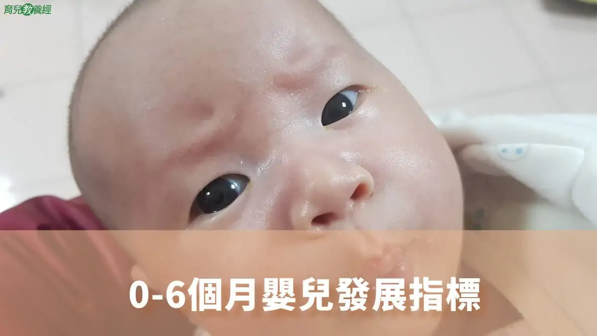 0 6個月嬰兒發展指標