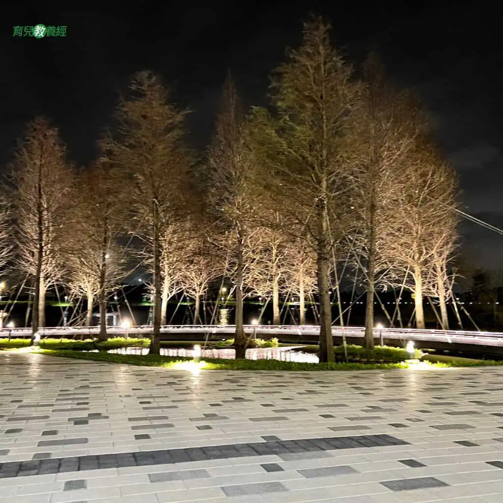 華興池生態埤塘公園 樹木