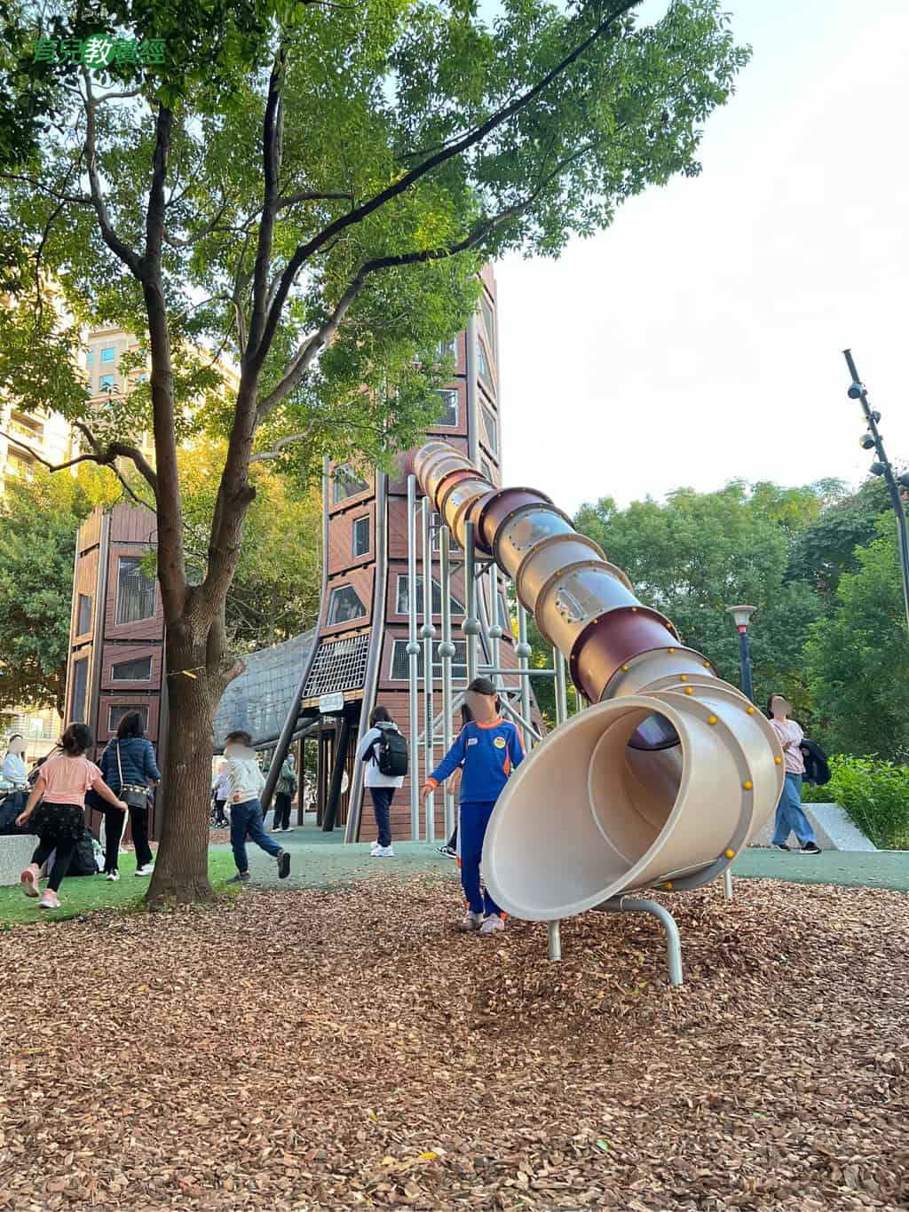 光明公園 奇幻樹屋挑戰塔