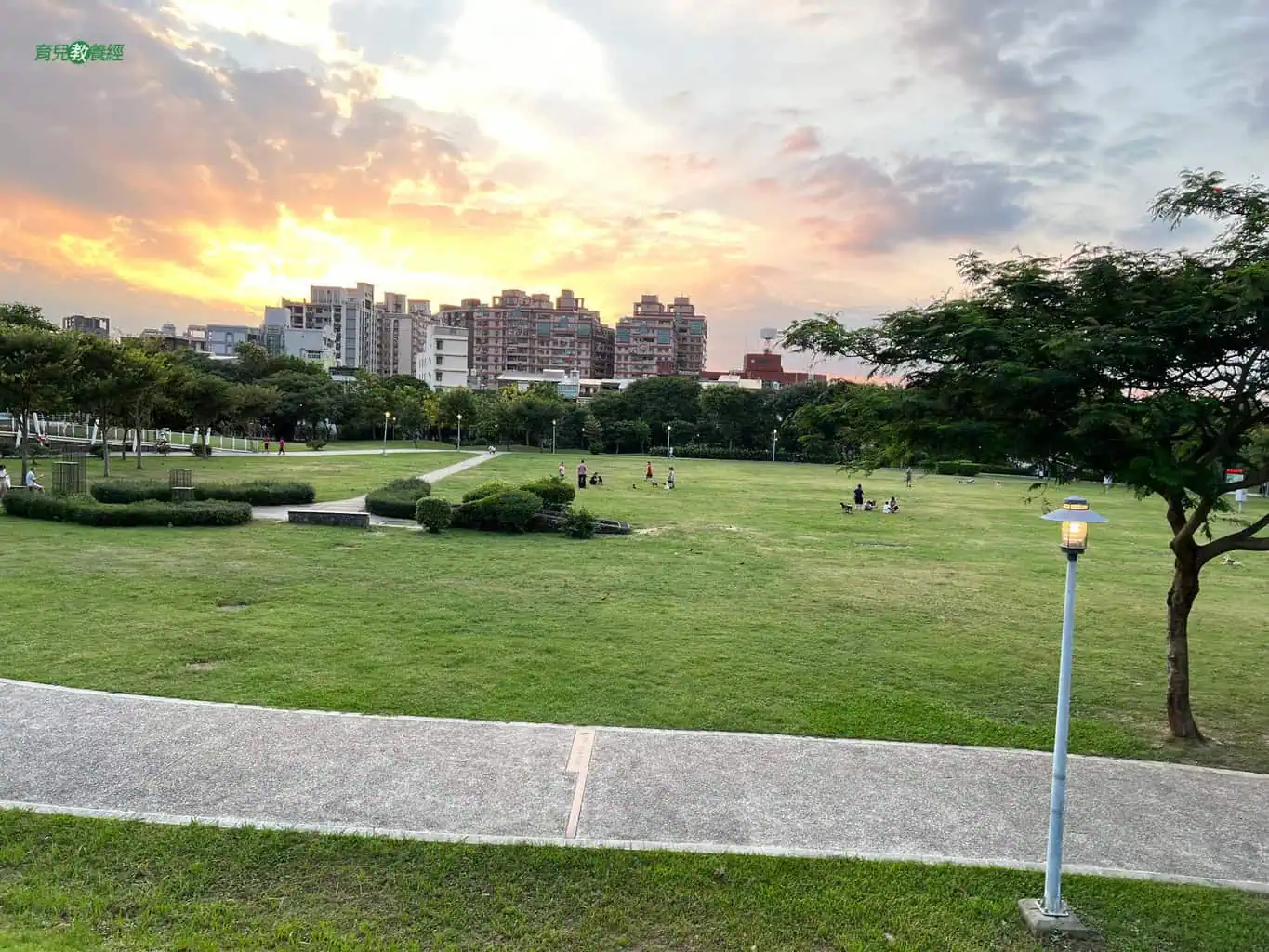 桃園市平鎮區新勢公園大草皮