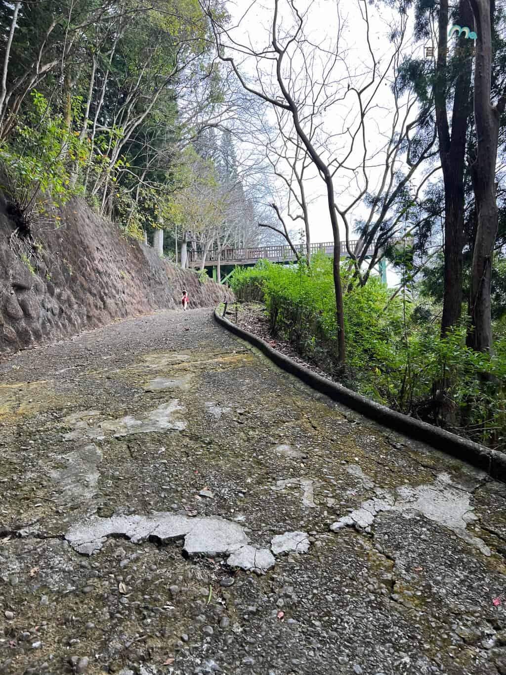 泰雅渡假村 天空步道