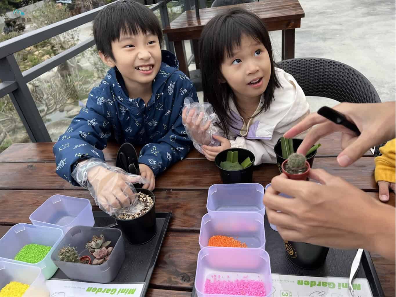 鹿芝谷生態園區 多肉植物製作