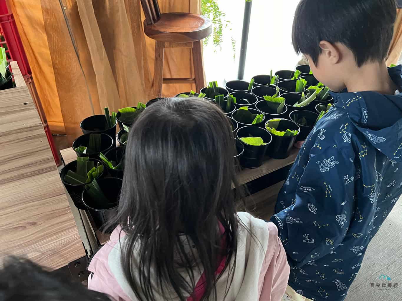 鹿芝谷生態園區 領取飼料