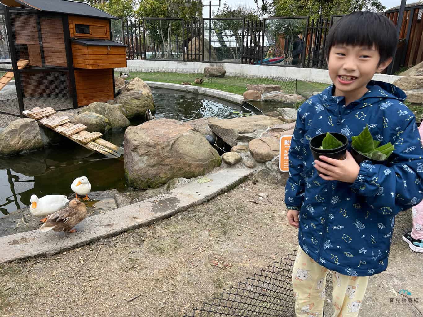 鹿芝谷生態園區 可爾鴨