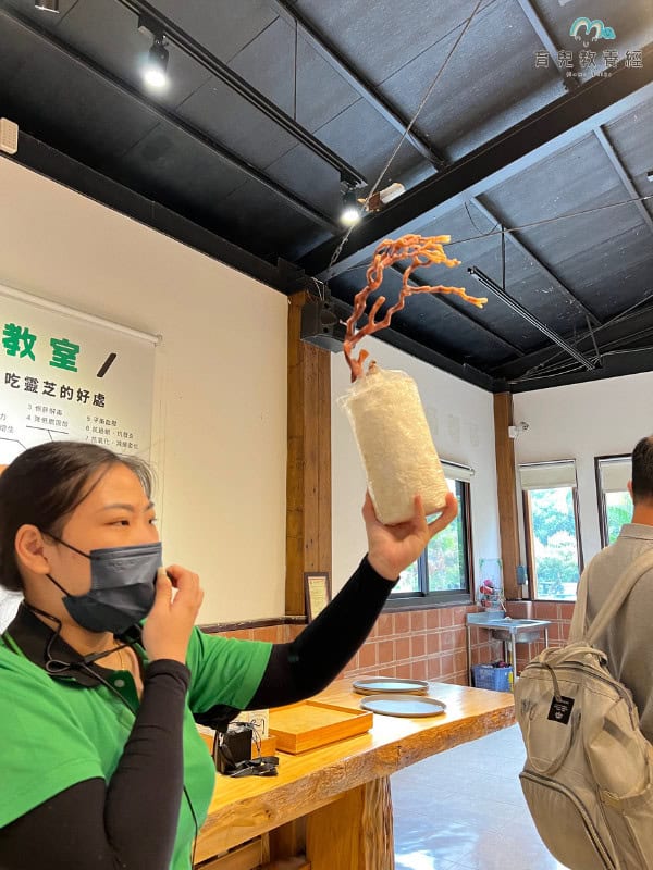 豐年農場 導覽解說