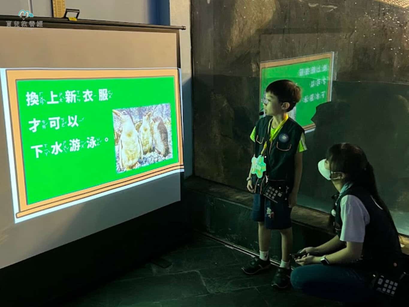 小小解說員