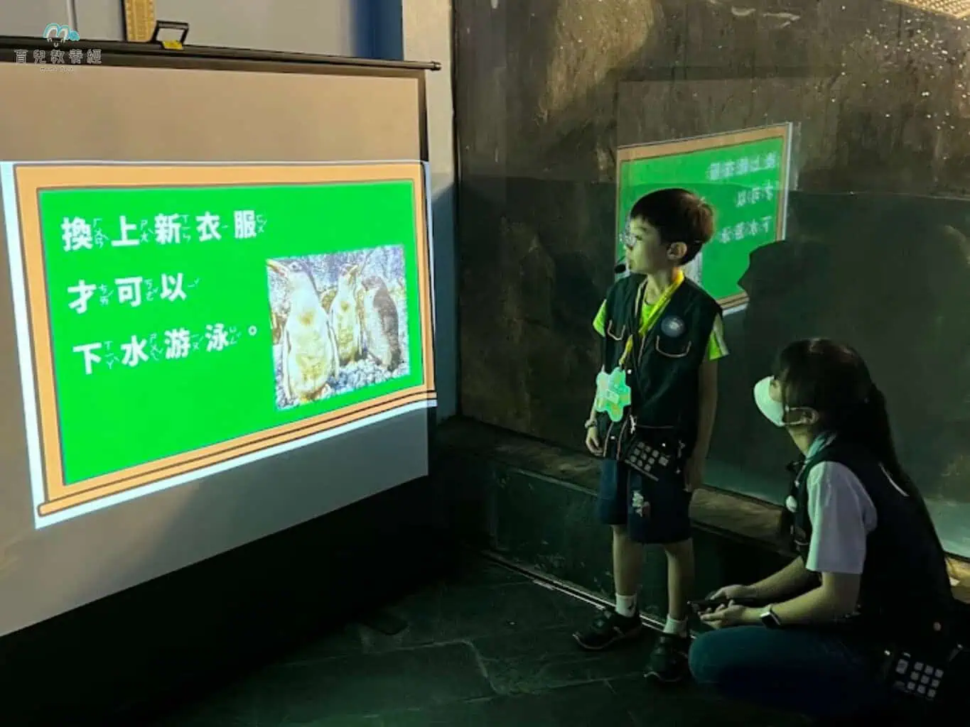 小小解說員