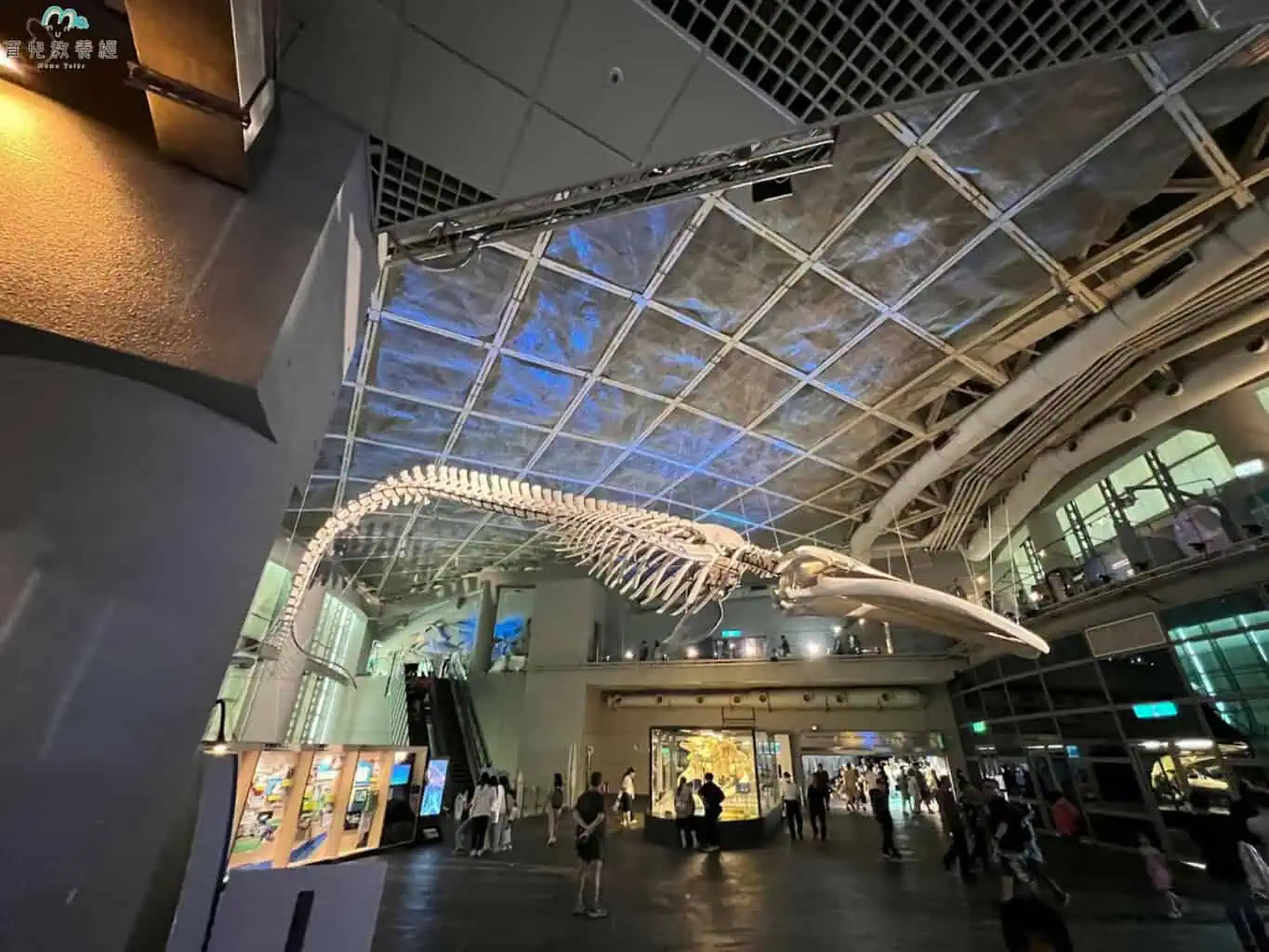 世界水域館大廳