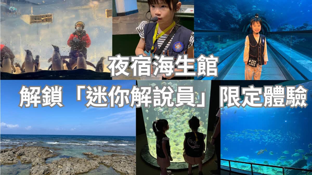 夜宿海生館，解鎖「迷你解說員」限定體驗！