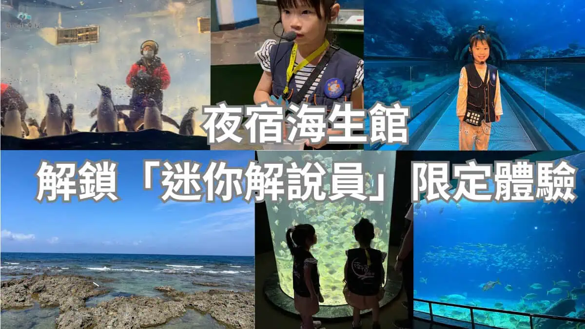 夜宿海生館，解鎖「迷你解說員」限定體驗！