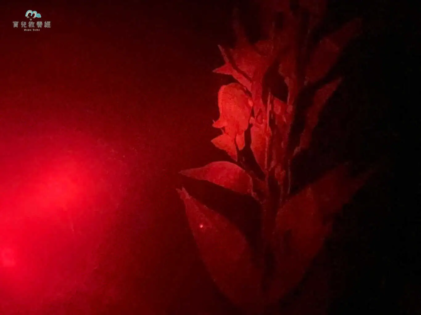 夜探海生館2