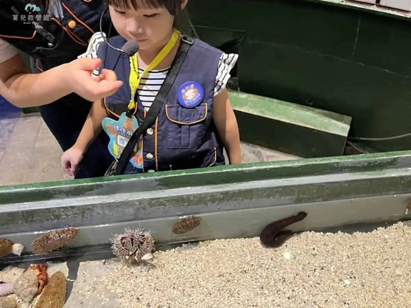 實際上場解說