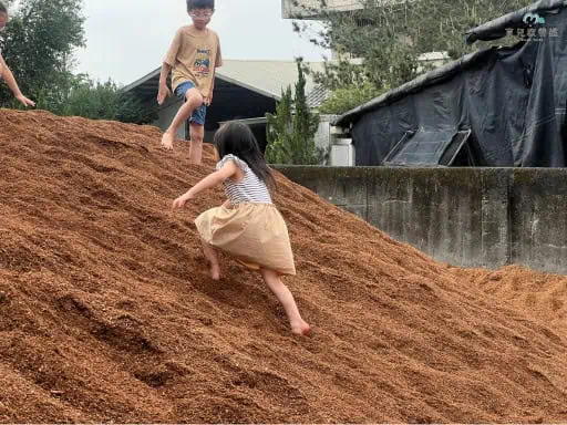 豐年農場 入口旁的 木屑山