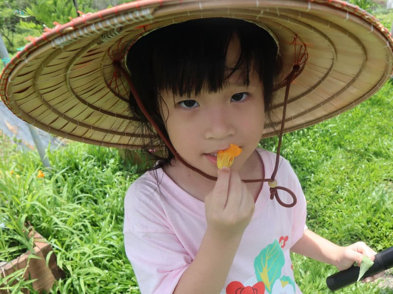 五都生態園區 導覽 (3)