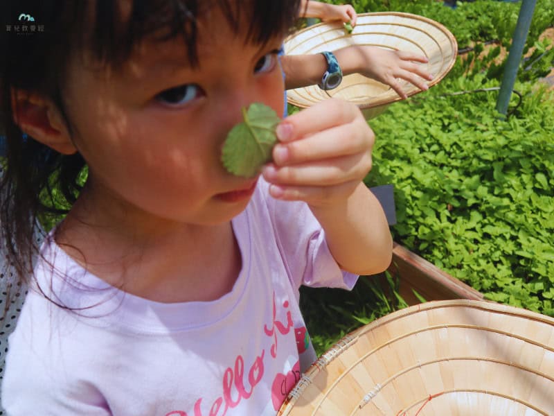 五都生態園區 導覽 (4)