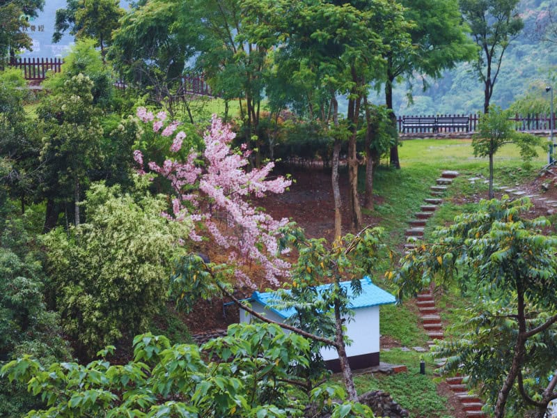 基拉耳山莊 咖啡廳旁景色