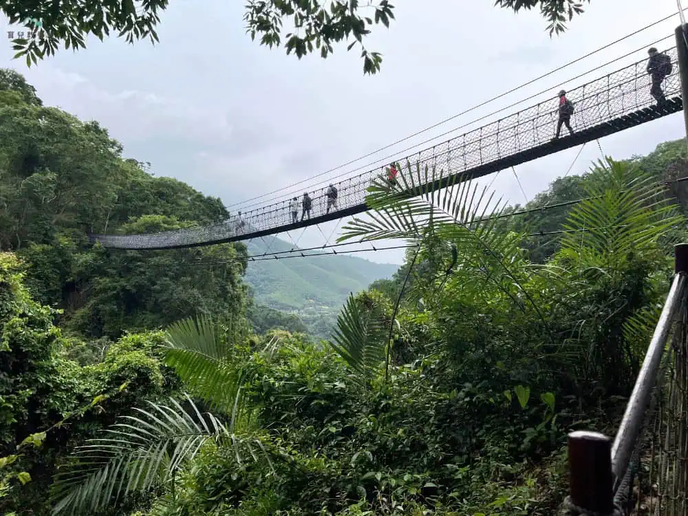 小烏來天空步道 (10)