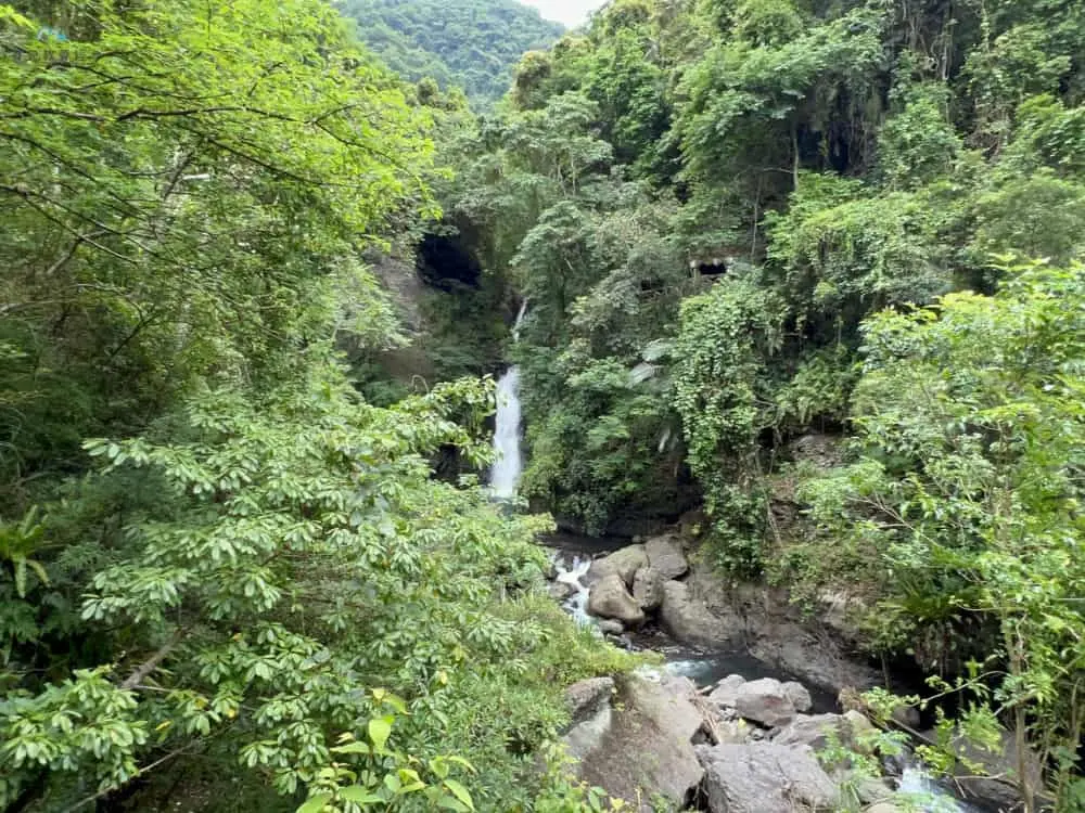 小烏來天空步道 (8)