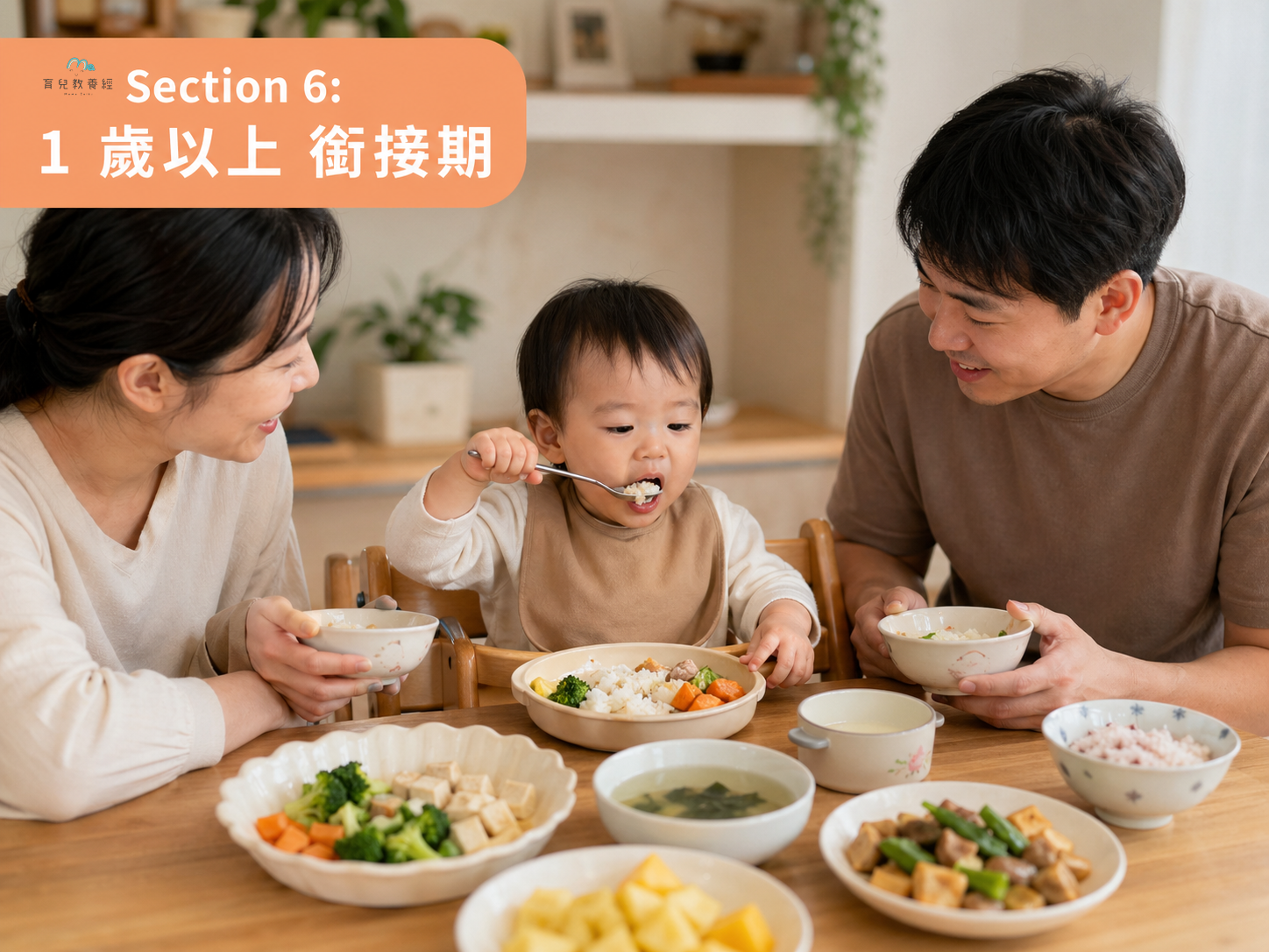 1 歲以上銜接期