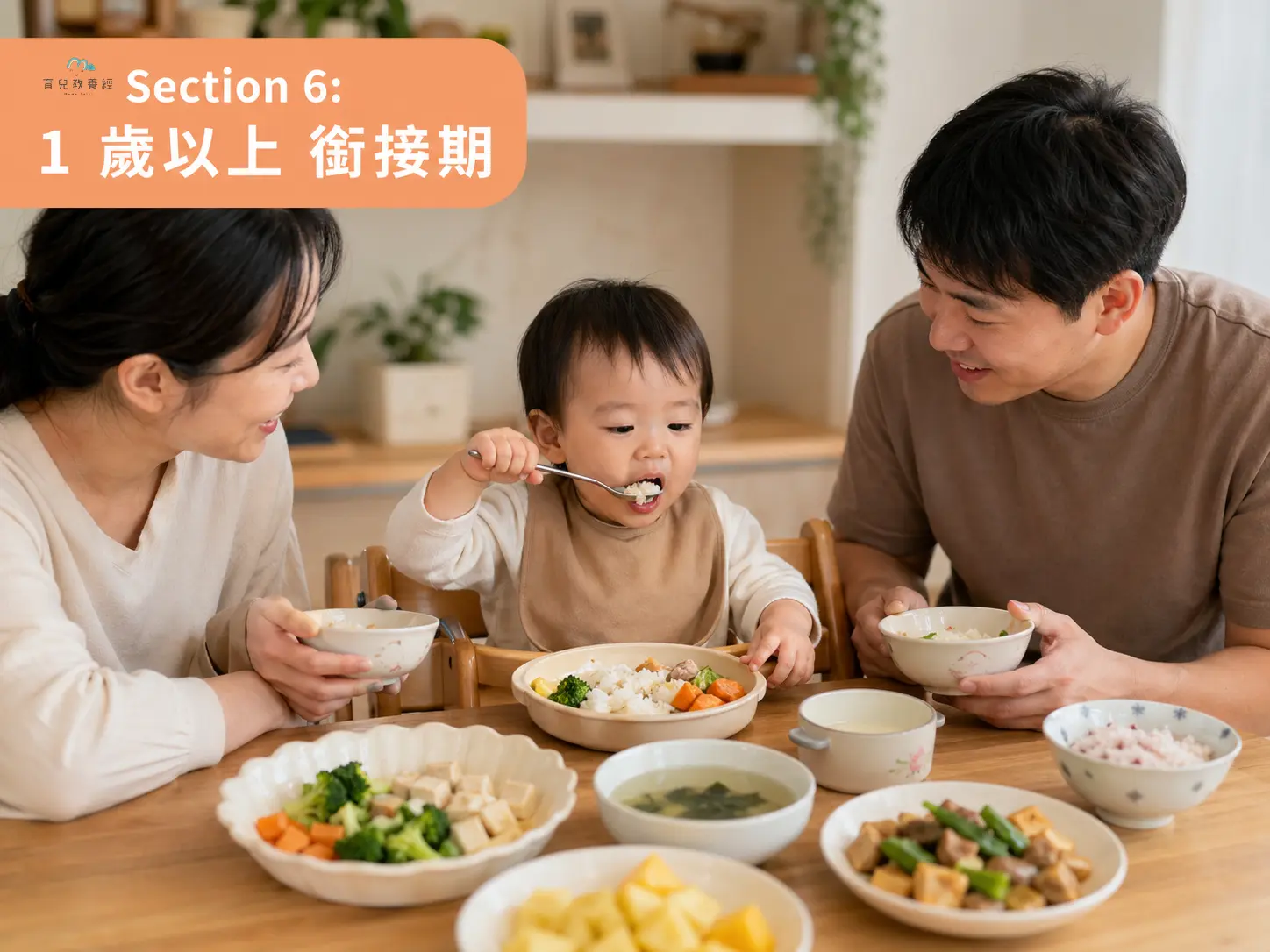 1 歲以上銜接期