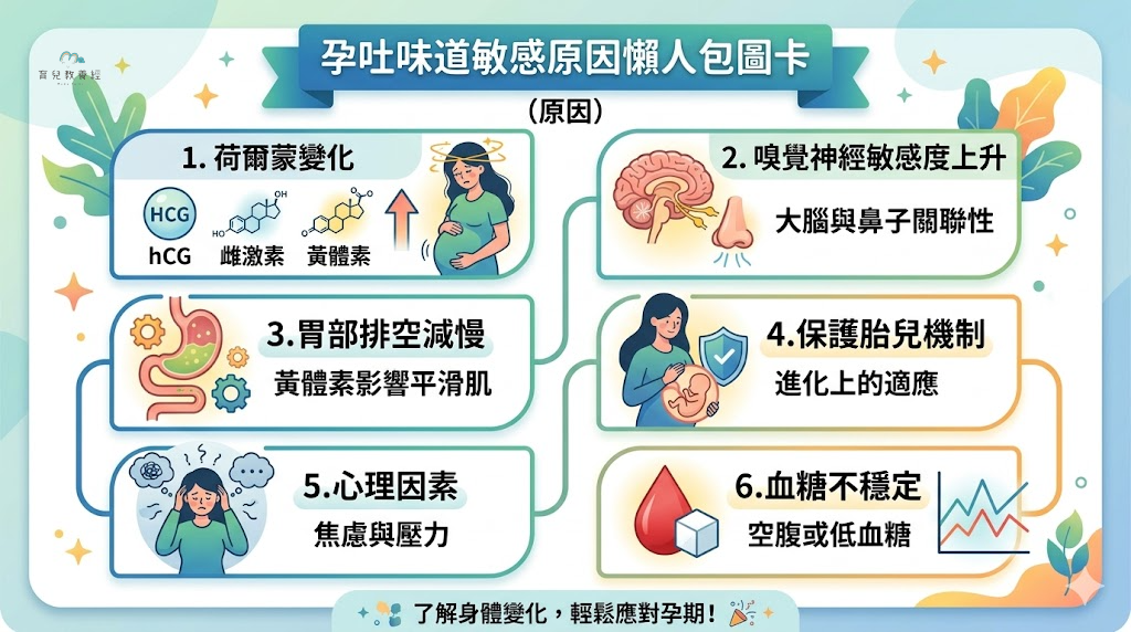 孕吐味道敏感原因懶人包圖卡