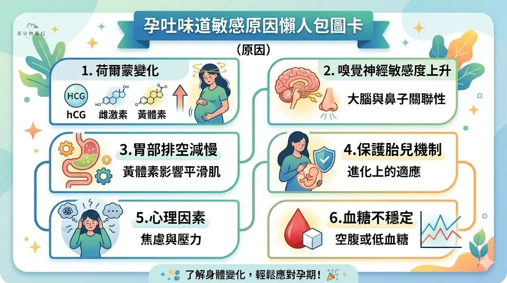 孕吐味道敏感原因懶人包圖卡