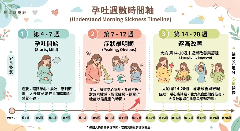 孕吐週數時間軸資訊圖,清楚標示第4至7週開始、第7至12週較明顯、第14至20週逐漸改善,使用繁體中文與柔和色調